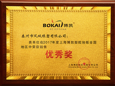凤城橡塑2017年度上海博凯塑胶地板全国销售优秀奖