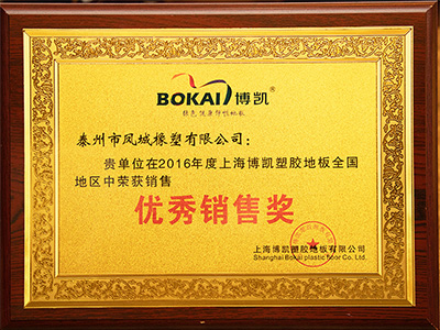 凤城橡塑-2016年度上海博凯塑胶地板全国销售优秀销售奖证书