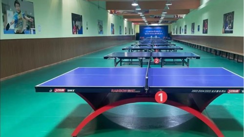 为什么乒乓球馆需要专业PVC运动地板——凤城橡塑PVC地板